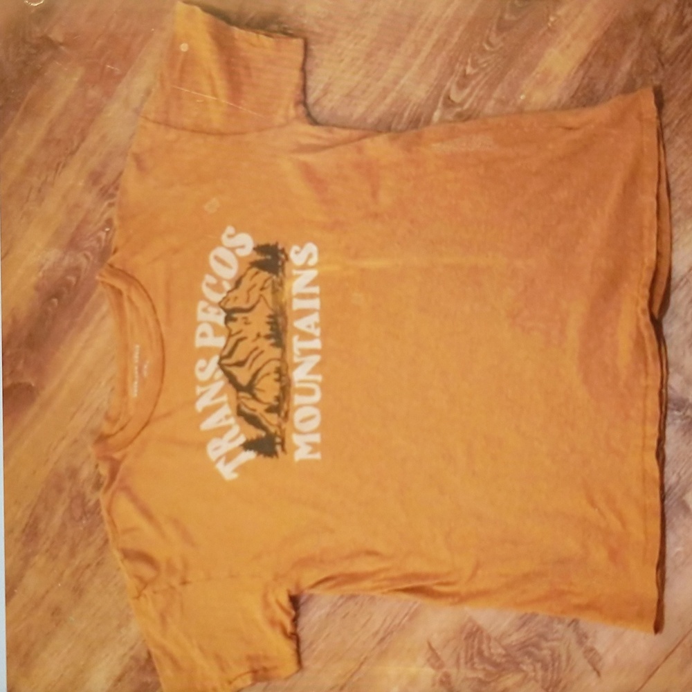 American Eagle Outfitters Crew Neck Graphic Tee